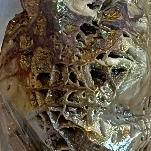Aurora Sphalerite Wolf 🐺 Crystal Gemstone Carving NWOT